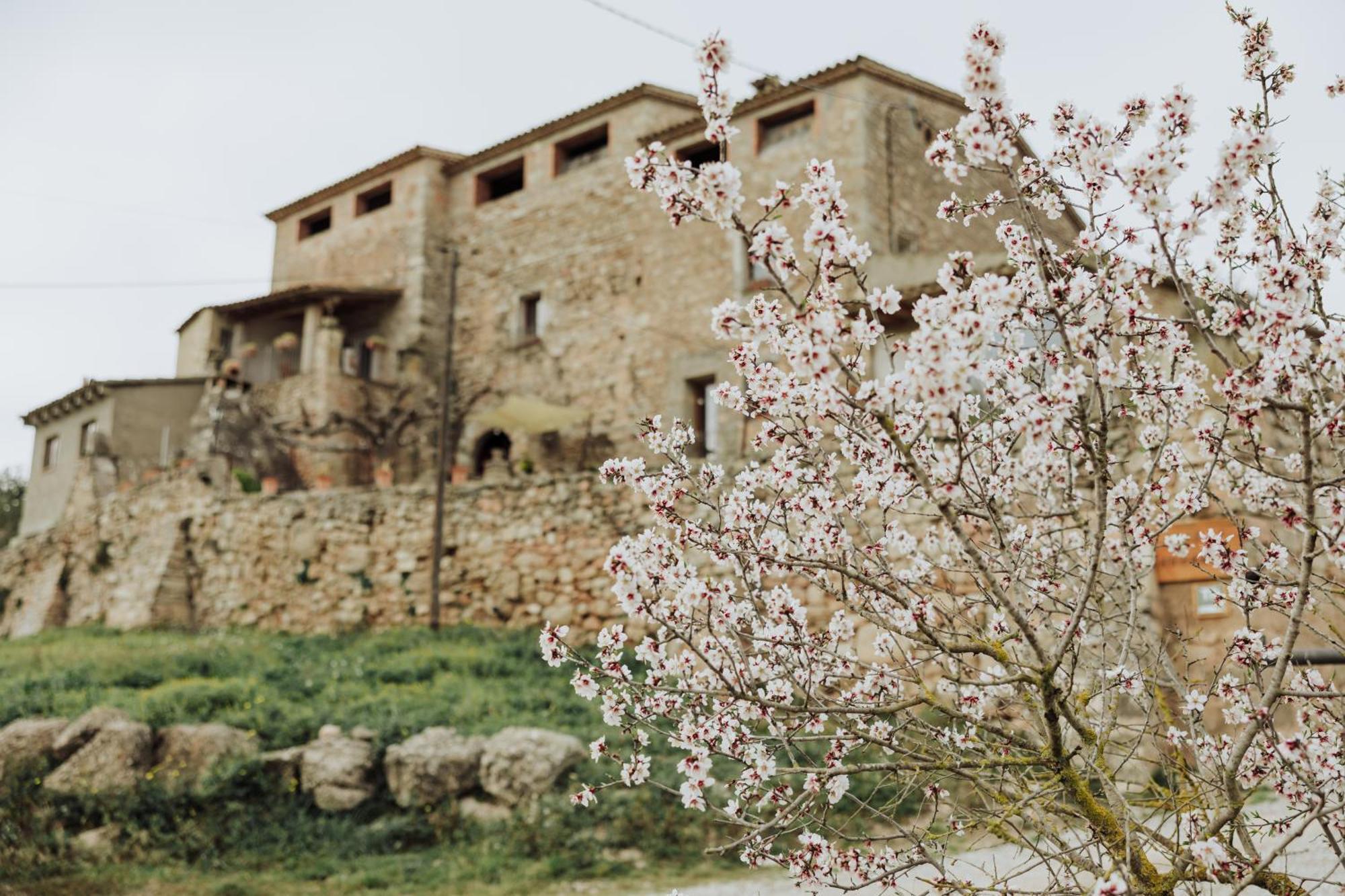 Masia Aubareda San Marti de Tous Exterior photo